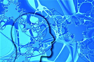 华体会体育hth-中国足球未来发展规划不明朗,中国足球发展方向 第3张